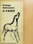 A csikó