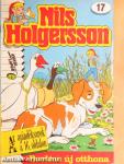 Nils Holgersson 17.
