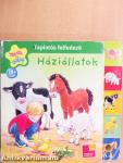Háziállatok