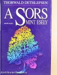 A Sors mint esély