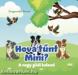 Hová tűnt mini?