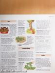 1001 Hints & Tips for Your Garden