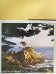 Big Sur to Big Basin
