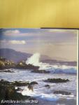 Big Sur to Big Basin