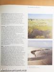 Wattenmeer