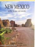 New Mexico