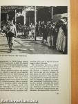 A második világháború képes krónikája