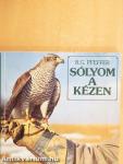 Sólyom a kézen