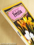 Frézia