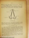 Rendszeres bonctan II.