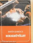 Bokszbűvölet