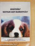 Segítség! Vettem egy kiskutyát!