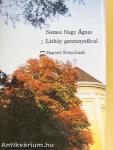 Látkép gesztenyefával