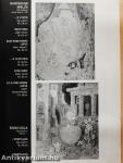 ECCE HOMO 1993