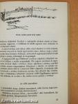 Kerti szerszámok