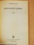 Eisstation Zebra