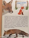 Állatkertek lakói