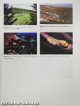Introductory Ecology