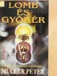 Lomb és gyökér