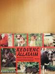Kedvenc állataim
