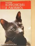 Gondoskodás a macskáról