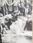 The holocaust