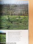 National Geographic January-December 1983. 