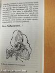 Utazás a dinoszauruszok korába