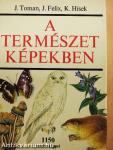 A természet képekben