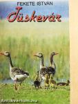 Tüskevár