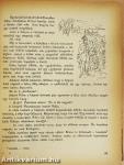 Kerek egy esztendő 1956.