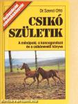 Csikó születik