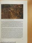 Artenschutzsymposium Uferschwalbe