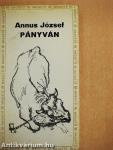 Pányván/Egyenközű vonalak