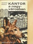Kántor a nagyvárosban