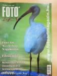 Fotó Art 2003. június