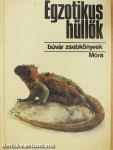 Egzotikus hüllők