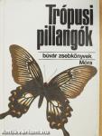 Trópusi pillangók