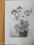 Tehozzád szólok...