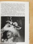 Amadeus