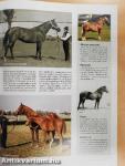 Rubicon 2013/7.