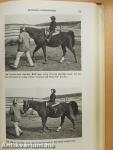 Basic Horsemanship