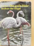 Das grosse Bilderlexikon der Vögel