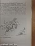 Basic Horsemanship