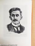 Hosszúhajú veszedelem
