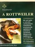 A rottweiler