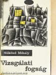Vizsgálati fogság