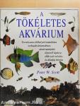 A tökéletes akvárium