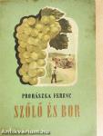 Szőlő és bor