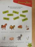 Animals